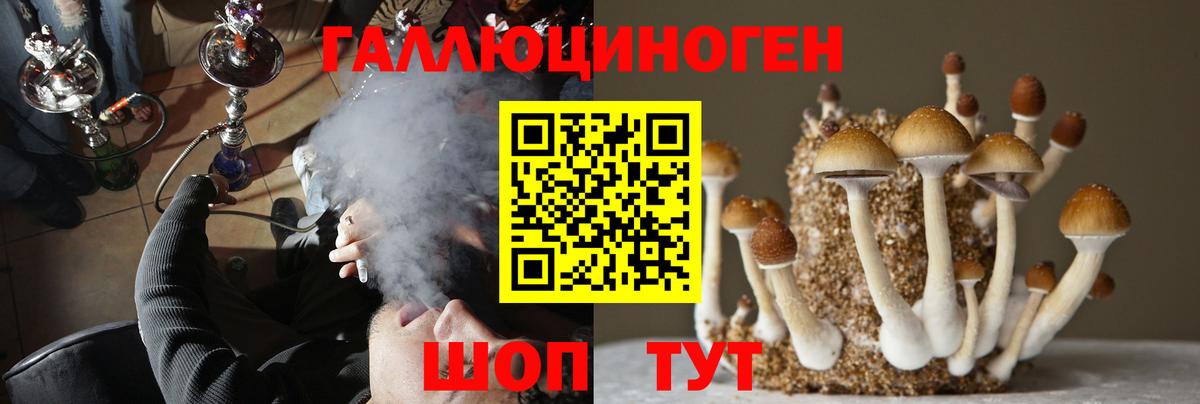 Кандалакша  Псилоцибиновые грибы мухоморы  Вход с VPN  Псилоцибиновые грибы прущие грибы 